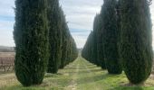 Tour Wandern Cabrières-d'Aigues - Cabrières d’Aigues - Roubian - l’infernet molieres - le Renard - les Fonges. - Cabrières-d’Aigues Moli - Photo 6