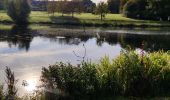 Trail Walking Ottignies-Louvain-la-Neuve - Promenade dans le Bois des Rêves et au Lac De Louvain-La-Neuve - Photo 1