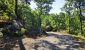 Tour Wandern Burlats - Chaos de la Rouquette - Photo 4