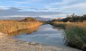 Trail On foot Palasca - Haute-Corse - Photo 1