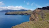 Tour Wandern Caniçal - Madère : la presqu'île de Sao Lourenço - Photo 18