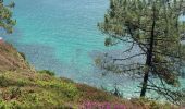 Tocht Stappen Crozon - Cap de la Chèvre  - Photo 2