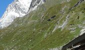 Percorso Marcia Pralognan-la-Vanoise - Tour de l''aiguille de la Vanoise - Photo 3