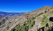 Trail Walking Digne-les-Bains - Sommet-de-la-bigue-en-boucle - Photo 17