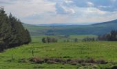 Tour Elektrofahrrad Le Puy-en-Velay - le puy en Velay est / les Estables  - Photo 4