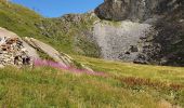 Tocht Stappen Tignes - lacs de la Leisse - Photo 15