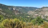 Excursión Bici de montaña Florac Trois Rivières - fait GTMC 2022 E4 Meyrueis - Photo 15