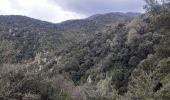 Excursión Senderismo Céret - mon balcon de Céret - Photo 11