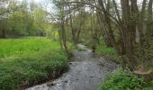 Tour Zu Fuß Bad Wildungen - Bergwerk, Naturparkweg 2 - Photo 1