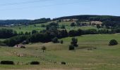 Tocht Stappen Trooz - A la découverte de Nessonveaux 🥾 - Photo 4