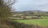 Tour Wandern Chenôves - Ponthus de thiard - Photo 2