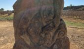 Trail Walking Montagnac - Arsel montagnac la cave et les statues - Photo 18