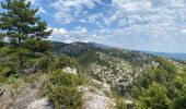 Tour Wandern Bédoin - Rando plutôt difficile  - Photo 1