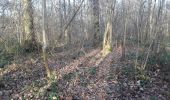 Trail Walking Brou-sur-Chantereine - brou 18-12 - Photo 19