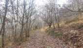 Tour Wandern Chaudfontaine - autour de la Béole - Photo 15