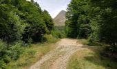 Trail Walking Laveissière - L'Alagnon - Photo 1