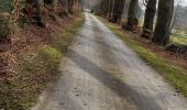 Percorso Marcia Ciney - Achene 110322 - Photo 3