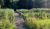 Trail Walking Lelystad - Groene Velden 4 km - Photo 1