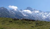 Excursión Senderismo Saint-Gervais-les-Bains - Chalet du Truc - Miage - Photo 9