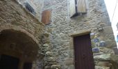 Tour Zu Fuß Isola del Giglio - Castello - Dolce - Aierella - Campese - Photo 2