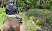 Trail Horseback riding Bastogne - Tripoux 2023 j2 - Photo 4
