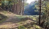 Trail Walking Vendôme - Forêt de Vendôme - Bois de l'Oratoire - Photo 14