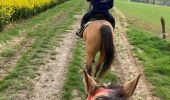 Trail Horseback riding Hériménil - Élodie 2 tivio - Photo 11