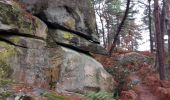 Tour Wandern Fontainebleau - cabaret masson  - Photo 1