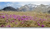 Percorso Marcia Prads-Haute-Bléone - Crête du Cadun via Serre en Haute Bléone - Photo 10