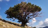 Tour Wandern Ghisoni - GR20 Corse étape 11 - Photo 2