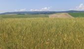 Tour Wandern Siena - Sienne /  Ponte d'Arbia - Photo 8