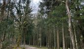 Tour Wandern Jalhay - La Hoegne - Photo 8