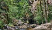 Trail Horseback riding Le Tholy - 2022-06-01 Rando CVA Le Tholy Boucle Cascades du Tendon - Photo 1