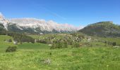 Tocht Stappen Gresse-en-Vercors - Gresse en Vercors - Croix de Somme Longue - Photo 9