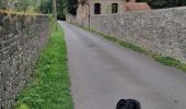 Trail Walking Beauraing - Dion  - Photo 5
