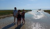 Tocht Stappen Le Crotoy - balade baie de somme - Photo 20