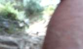 Trail Walking Monticello - boucle d'arbo - Photo 4