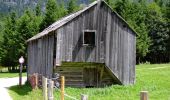 Trail On foot Altaussee - Sandling 241 - Photo 3