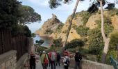 Tour Wandern La Ciotat - la ciotat - Photo 6