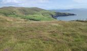 Randonnée Marche West Cork - Dursey Sound - Allihies beach - Photo 17