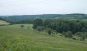 Excursión A pie Großheringen - Rundweg Kaatschen-Tultewitz - Photo 3