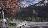 Tour Zu Fuß Ramsau am Dachstein - Panoramaweg Ost 