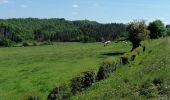 Tour Wandern Verviers - aqueduc-bois de Jalhay-Cossart  - Photo 8
