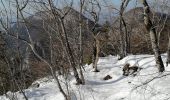 Trail Walking Veyrier-du-Lac - Mont Baret - Photo 6