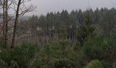 Trail Walking La Roche-en-Ardenne - Balade des panoramas à La Roche-en-Ardenne  - Photo 5