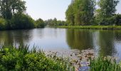 Tocht Stappen Nijvel - Balade à Monstreux - Nivelles - Photo 9