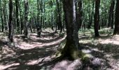 Percorso A piedi Sant'Alfio - Sentiero delle Ginestre tappa 3 - Photo 6