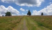 Excursión Senderismo Belmont - Tour du Champ du Feu - Photo 2