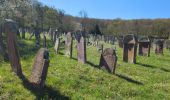Trail Walking Rosheim - Rosheim Rosenwiller Boersch Bischenberg - Photo 14