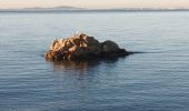 Excursión Senderismo La Londe-les-Maures - Plage de l'Argentière à Cabasson en A/R-14-01-22 - Photo 3